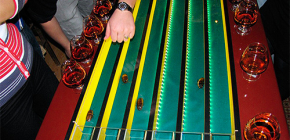 L'histoire des courses de cafards et les caractéristiques de leur conduite aujourd'hui