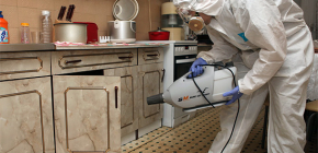 Destruction des punaises de lit par brouillard froid et retour d'expérience sur cette procédure