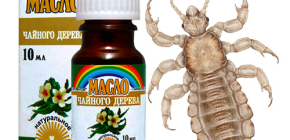 L'huile d'arbre à thé aide-t-elle à lutter contre les poux et comment l'utiliser ?