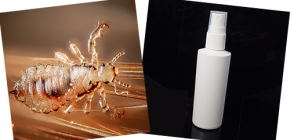 Spray contre les poux et les lentes : choisissez le plus efficace