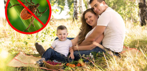 L'assurance contre les tiques est-elle une nécessité ou un gaspillage d'argent ?