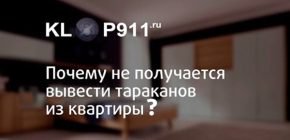 Pourquoi les cafards ne peuvent parfois pas être retirés de l'appartement