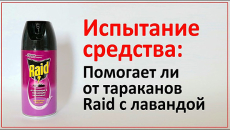 Effet rare en termes de létalité : test de l'aérosol Reid sur des cafards