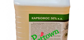 Karbofos et son utilisation pour lutter contre les insectes domestiques