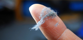 Allergie aux acariens et approches de son traitement