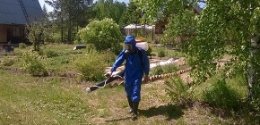 Effectuer le traitement du site à partir de tiques