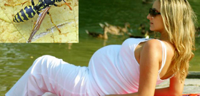 Piqûres de guêpes pendant la grossesse : quel est le danger et que faire ?