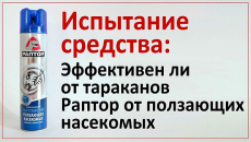 Nous testons l'effet de l'aérosol Raptor sur les cafards