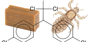 Est-il possible d'utiliser du savon à poussière pour les poux et les lentes