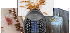 Un aperçu des pièges efficaces pour les insectes volants et rampants