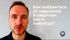 Comment se débarrasser de manière fiable des cafards dans un appartement, même s'il y a beaucoup d'insectes
