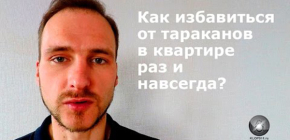 Comment se débarrasser de manière fiable des cafards dans un appartement, même s'il y a beaucoup d'insectes
