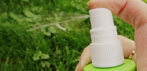 Moyens de protection contre les piqûres de tiques pour l'homme