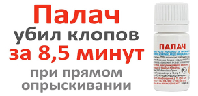 Expérience sur les punaises de lit : le bourreau les a tuées en 8 minutes