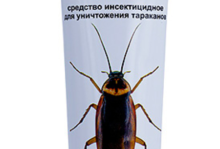 Gel-pâte Dezus de cafards