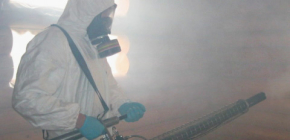 Quelle est l'efficacité de la destruction des punaises de lit avec du brouillard chaud ?