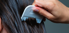 Comment lutter contre les poux