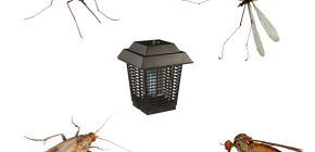 Que sont les exterminateurs d'insectes et comment fonctionnent-ils