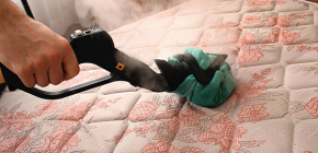 À propos des acariens de lit et comment les traiter