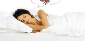 Que disent les livres de rêves sur l'apparition de poux dans un rêve