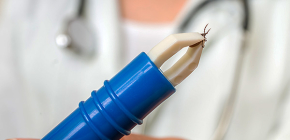 Dispositifs pour retirer les tiques : choisir un twister efficace