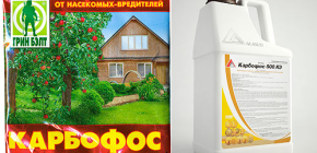 Où puis-je acheter du Karbofos contre les punaises de lit et quel est son prix