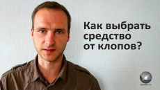 Comment choisir un remède fiable contre les punaises de lit et éviter les erreurs fatales