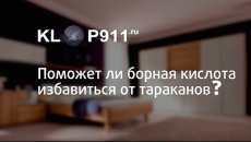 Comment utiliser l'acide borique des cafards et dans quels cas il est inutile de l'utiliser