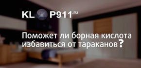 Comment utiliser l'acide borique des cafards et dans quels cas il est inutile de l'utiliser