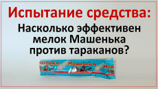 Nous testons la craie Mashenka sur les cafards et voyons ce qui en est ressorti