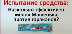 Nous testons la craie Mashenka sur les cafards et voyons ce qui en est ressorti