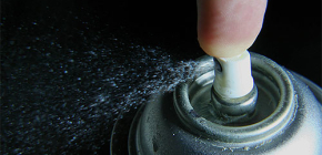 Le dichlorvos est-il efficace contre les puces ?