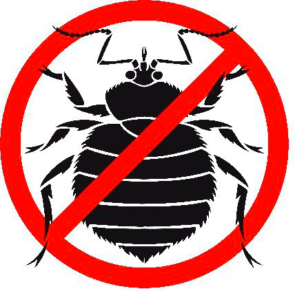 Expulser les punaises de lit