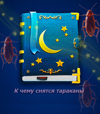 Que disent les livres de rêves sur les rêves avec des cafards