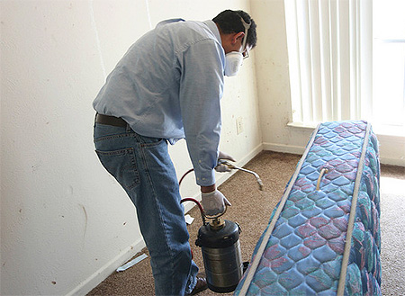 Traiter son matelas contre les punaises de lit