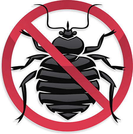 Produits chimiques contre les punaises de lit