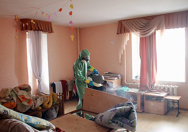 Traitement de l'appartement contre les punaises de lit par le service de lutte antiparasitaire.