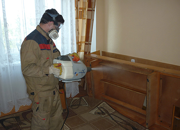 Faire appel à des exterminateurs est considéré comme le moyen le plus efficace et le plus rapide de se débarrasser des insectes dans la maison.