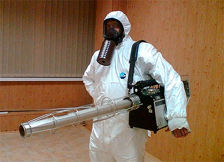 Pour une destruction efficace des punaises de lit dans l'appartement, il est utile de contacter des exterminateurs professionnels