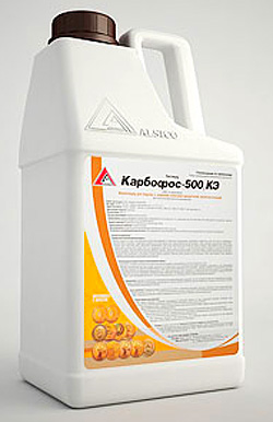 Karbofos des punaises de lit