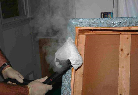 Traitement à la vapeur du canapé