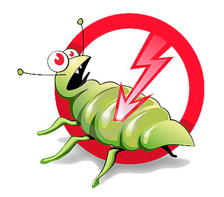 Absinthe de punaises de lit