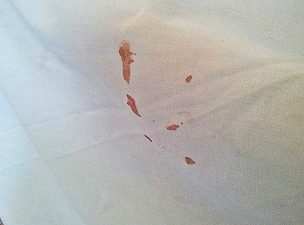 De telles traces sont l'un des signes de la présence de punaises de lit dans l'appartement.