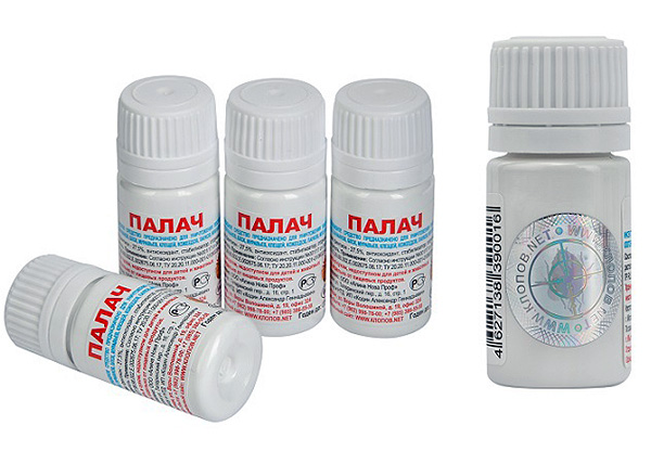 Remède très efficace contre les punaises de lit Bourreau