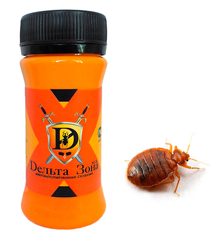 Remède contre les punaises de lit Delta Zone
