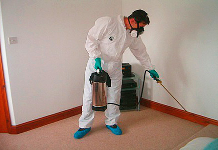 Appel aux exterminateurs