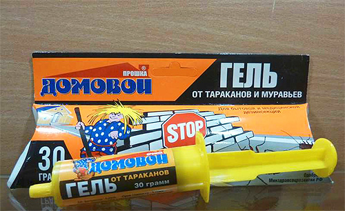 Gel de cafards dans une seringue - Brownie