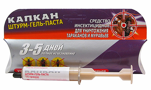 Piège tempête-gel-pâte