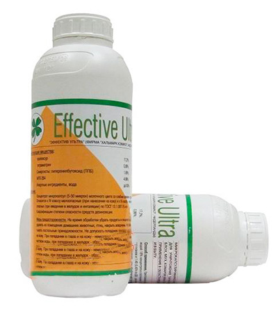 Le médicament contre les punaises de lit Effective Ultra