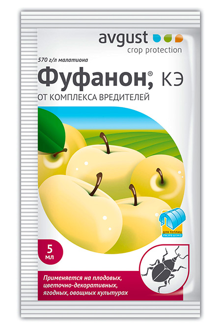 Fufanon, commentaires